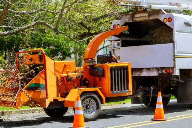 Mulching Services in Lebanon, IN